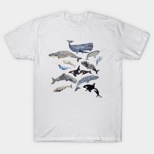 Whale Song T-Shirt